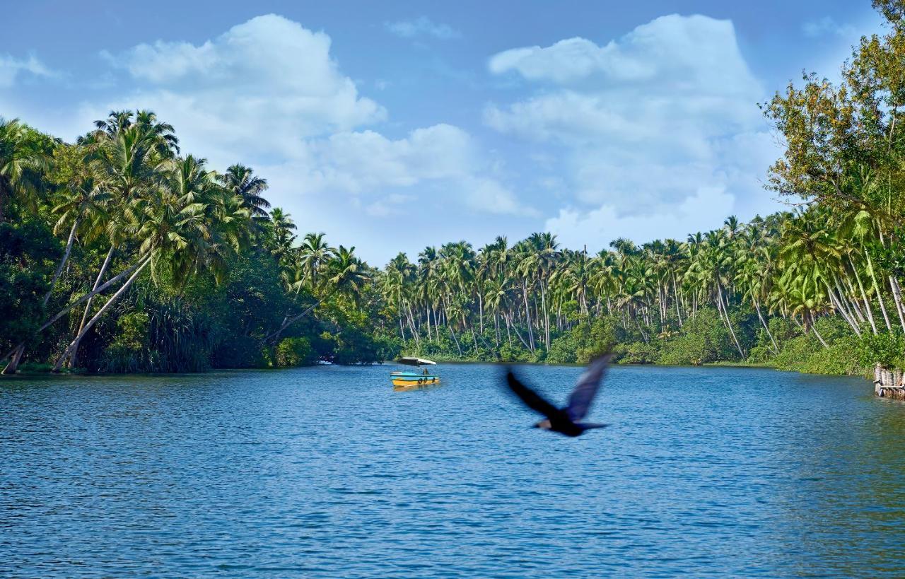 Estuary Sarovar Premiere Poovar Island Zewnętrze zdjęcie
